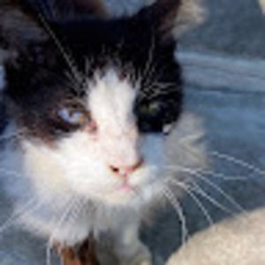 Meet your Posher, Natalie